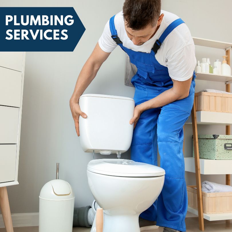 Plumbing Company in Douglas, MI